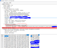 malformed.login.packet.PNG